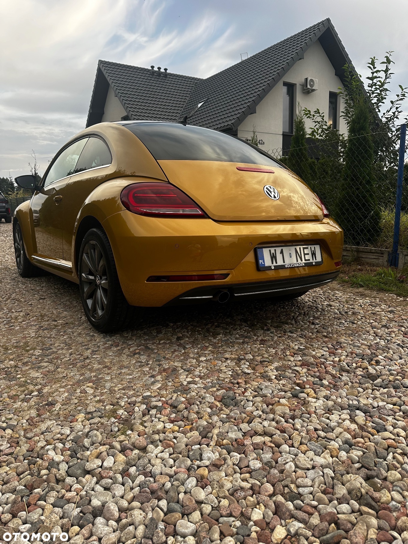Volkswagen Beetle - 17