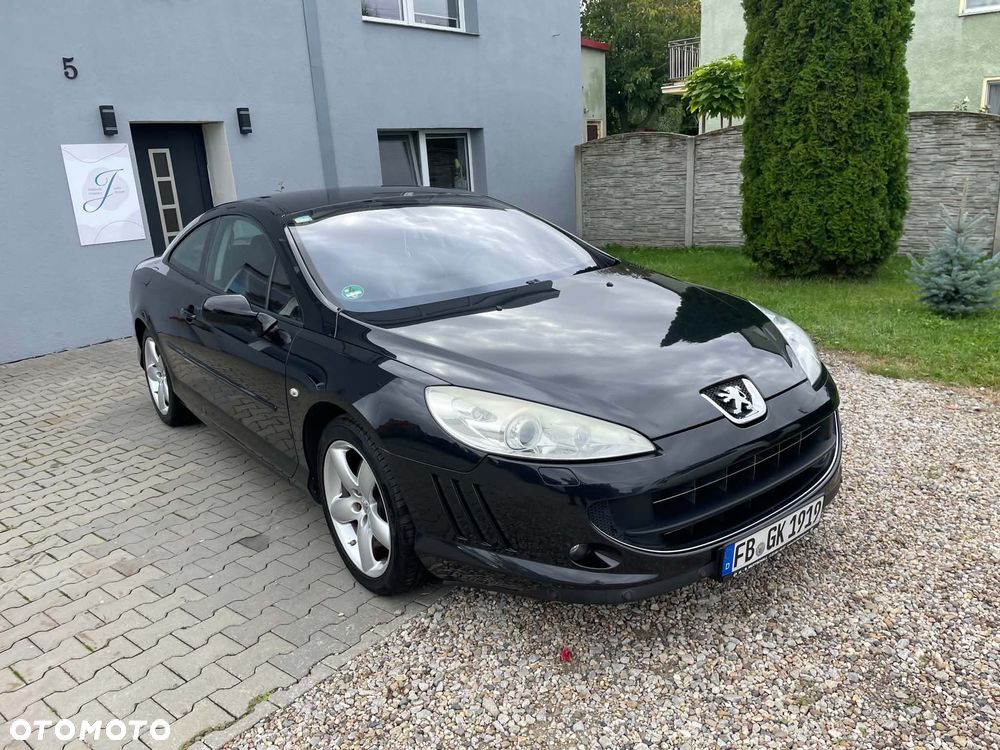 Peugeot 407 V6 210 Platinum - 21
