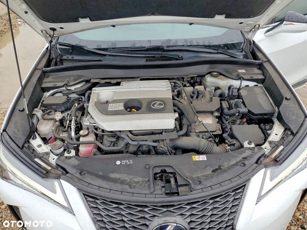 Lexus UX 250h - 11