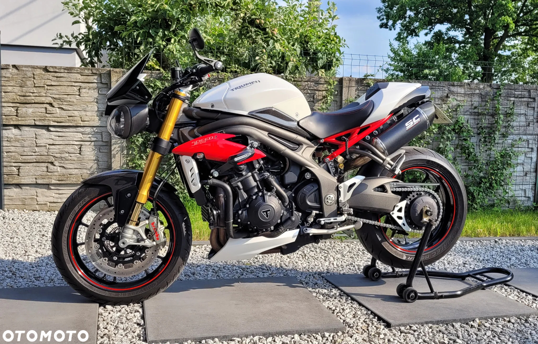Triumph Speed Triple - 2