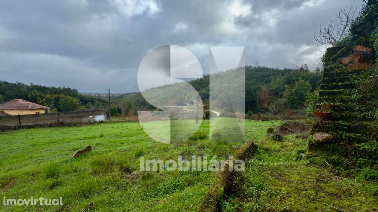 Moradia Penacova - Grande imagem: 5/7