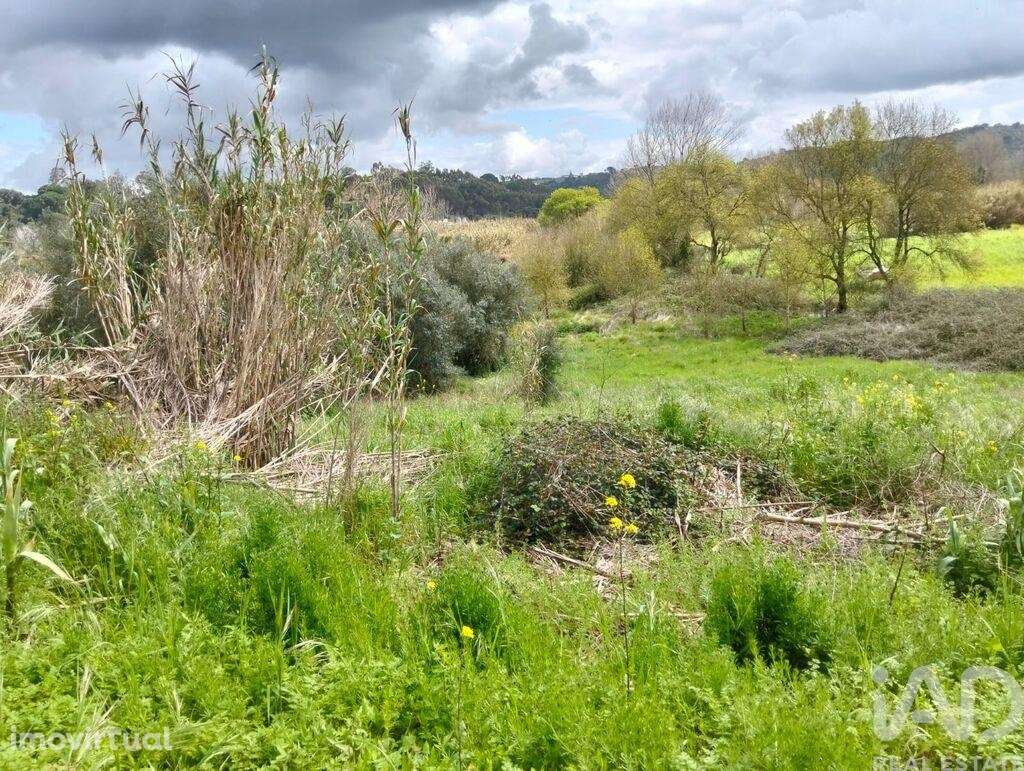Terreno em Outeiro da Cortiçada e Arruda dos Pisões de 1540,00 m2 - Grande imagem: 2/24