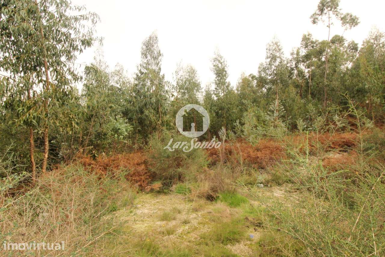 Terreno com 17.990m2 área S. Gens Fafe - Grande imagem: 5/16