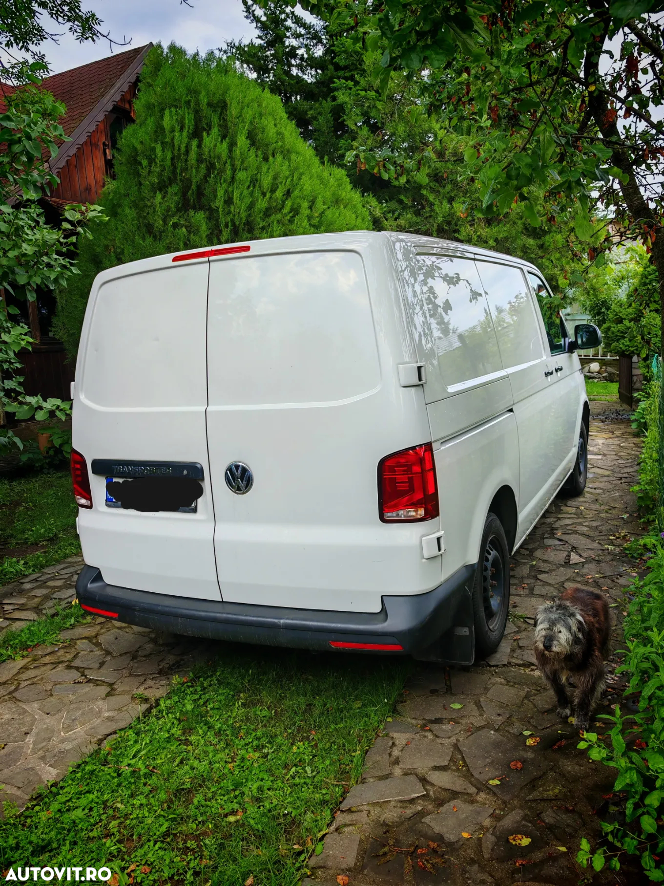 Volkswagen Transporter - 3