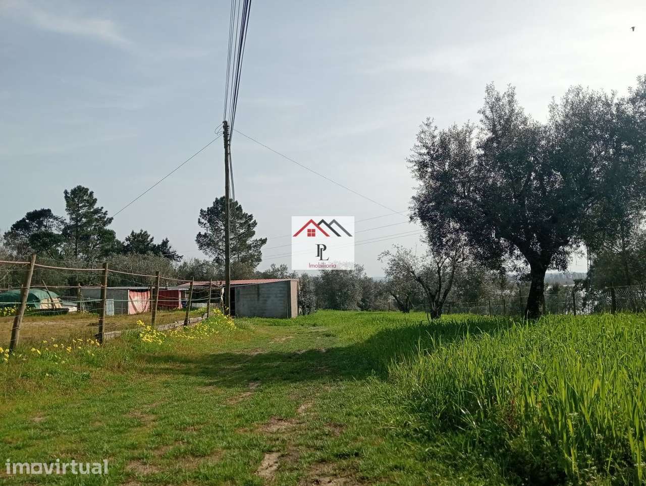 Terreno rustico em Granja de Ançã - Grande imagem: 5/30
