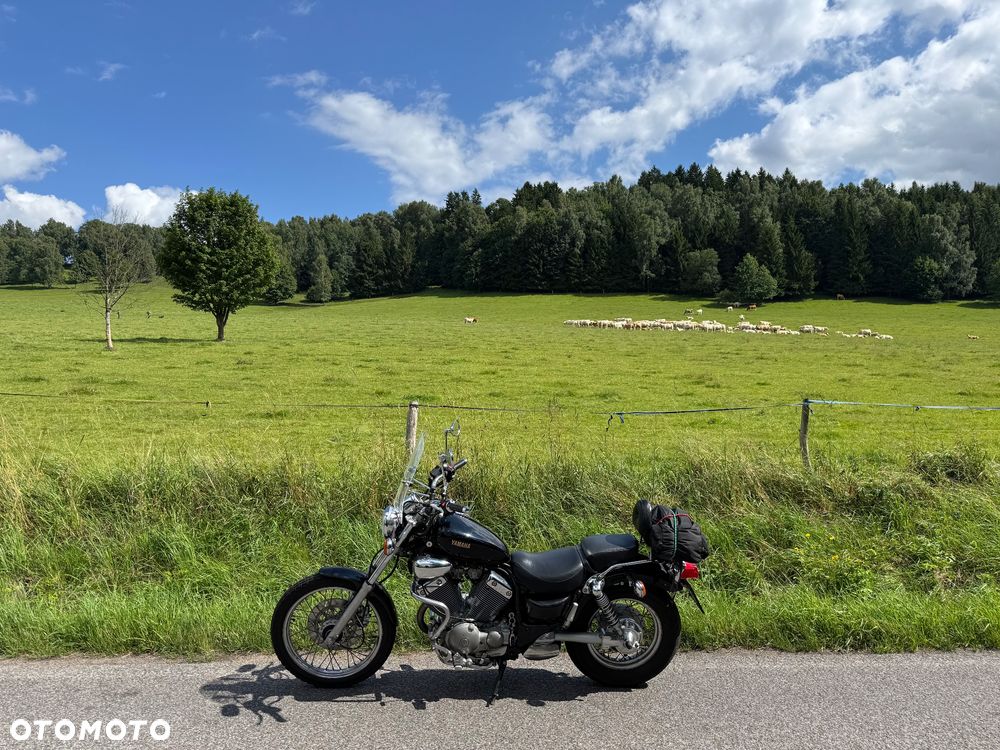 Yamaha Virago - 4