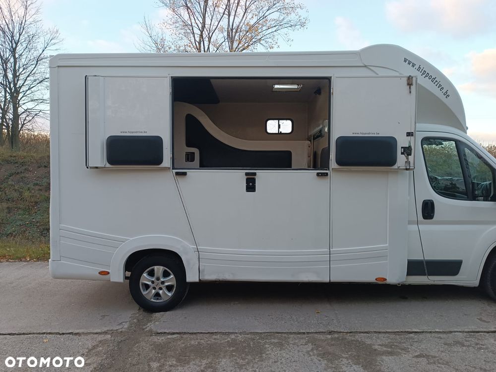 Fiat Ducato  2.3 Klima Koniowóz 2-konie - 23