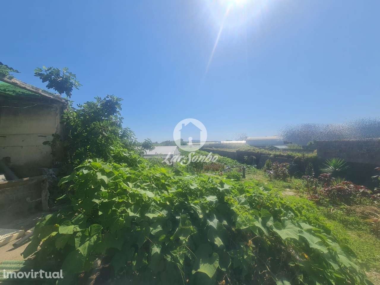 Moradia T3 para restauro a 600m da praia de Aguçadoura, Póvoa de Va... - Grande imagem: 2/14