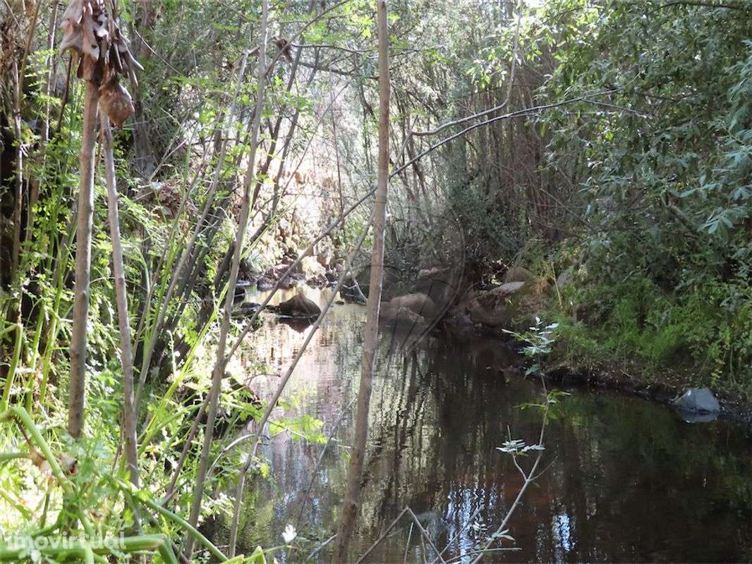 Quinta  para venda - Grande imagem: 3/25