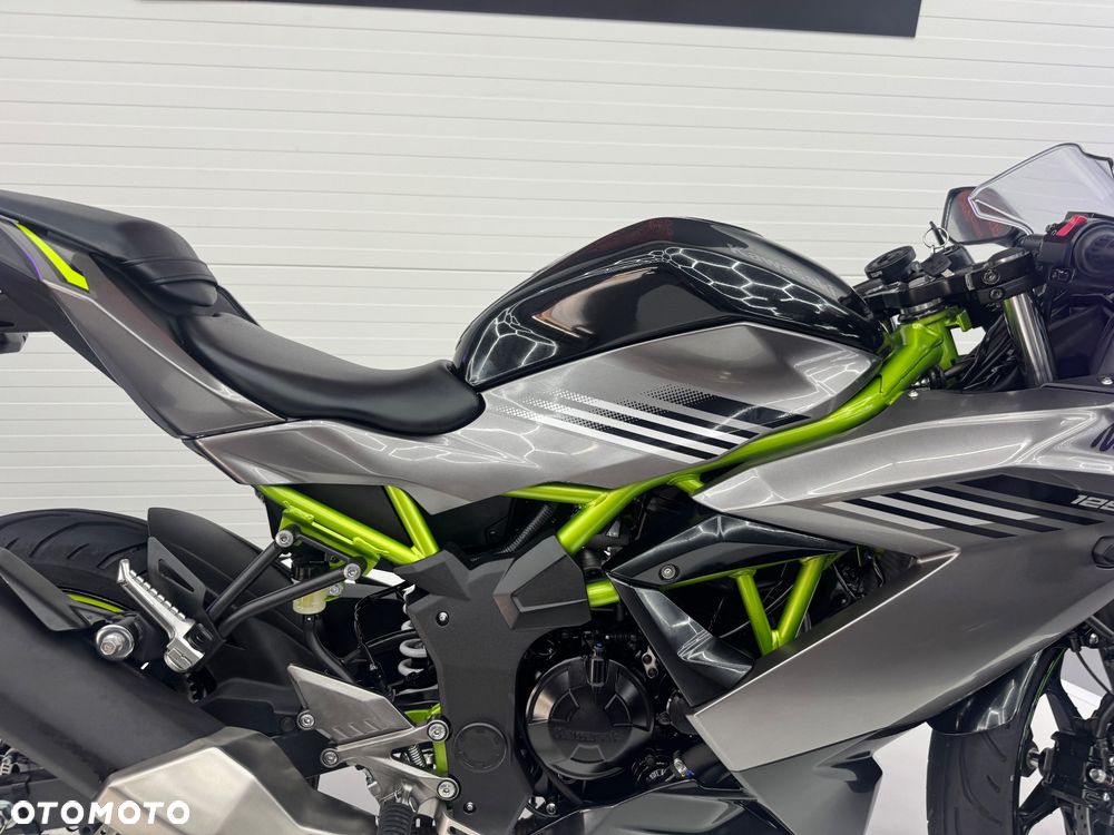 Kawasaki Ninja - 26