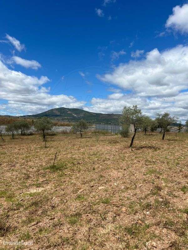 Terreno  para venda - Grande imagem: 5/6