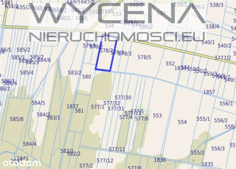 Działki rolne Pielgrzymka, gmina Osiek Jasielski - Pełny obrazek: 4/5