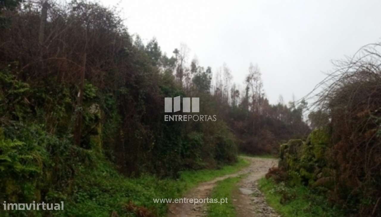 Venda Terreno, Vila Boa do Bispo, Marco de Canaveses - Grande imagem: 3/30