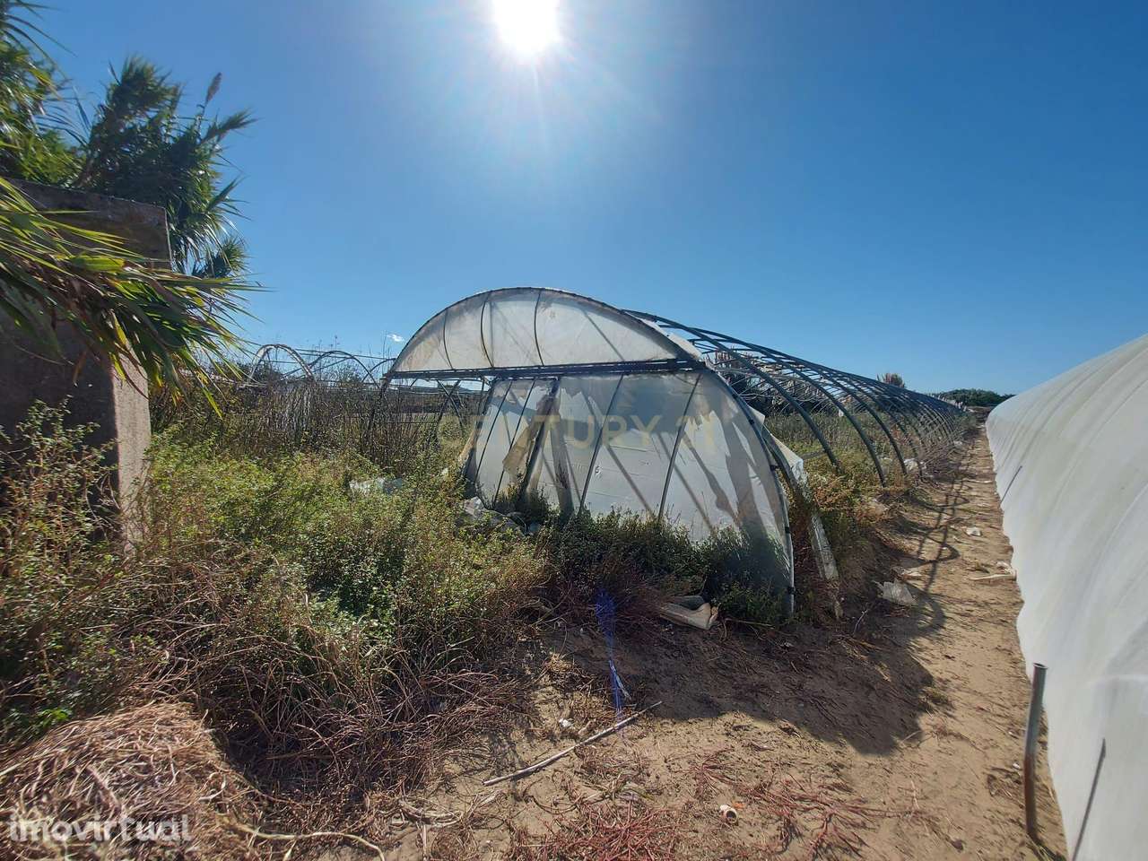 Terreno Rustico em Estela Maninho - Grande imagem: 2/7