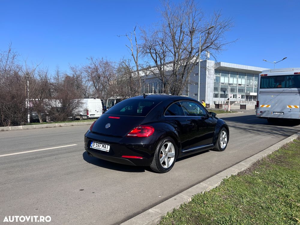 Volkswagen Beetle - 10