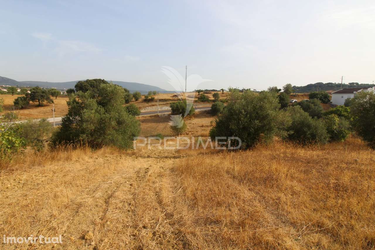 Terreno Misto - Pousados, Alcanena - Grande imagem: 2/16