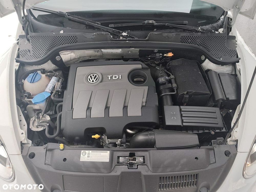 Volkswagen Beetle - 31