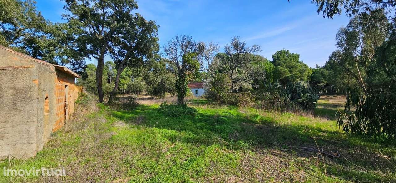 Terreno com Projeto para Moradia V6 - Grande imagem: 3/18