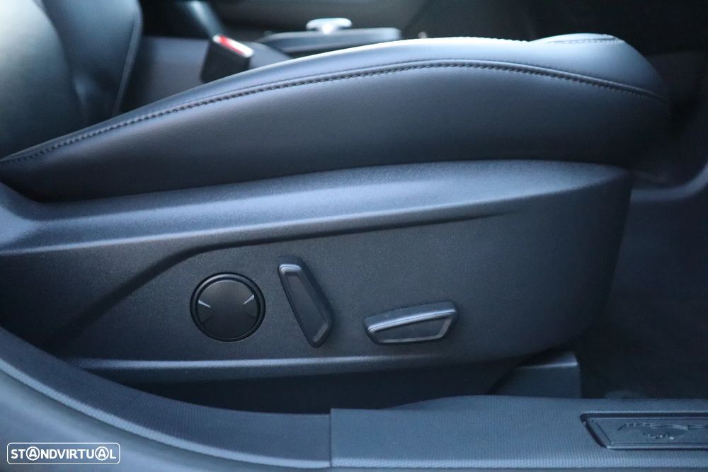 Ford Mustang Mach-E Standard - 25