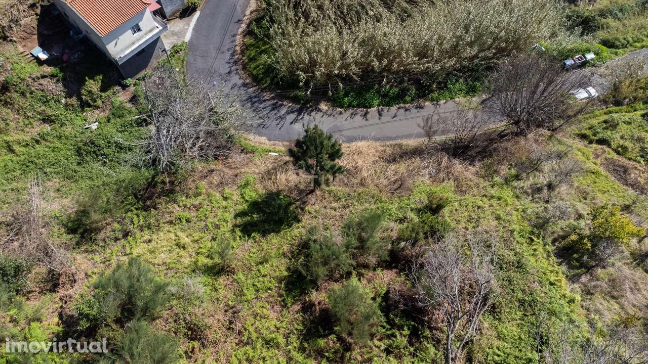 Terreno Rústico nas Faias, Arco da Calheta - Oportunidade Única! - Grande imagem: 4/8