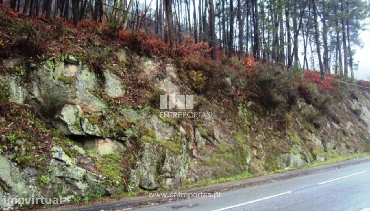 Venda Terreno, Real, Amarante - Grande imagem: 2/6