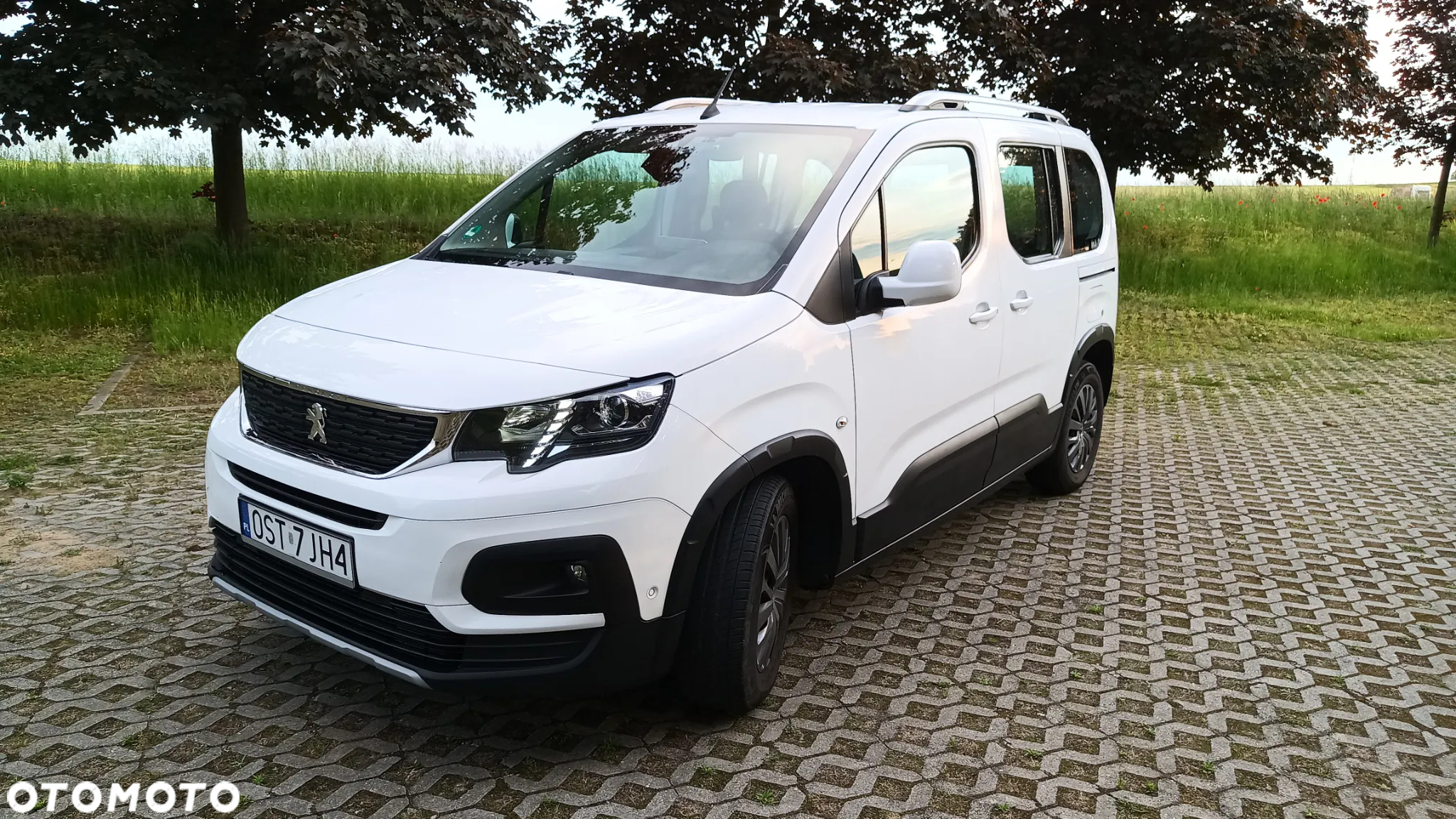 Peugeot Rifter 1.5 BlueHDI Allure S&S - 3
