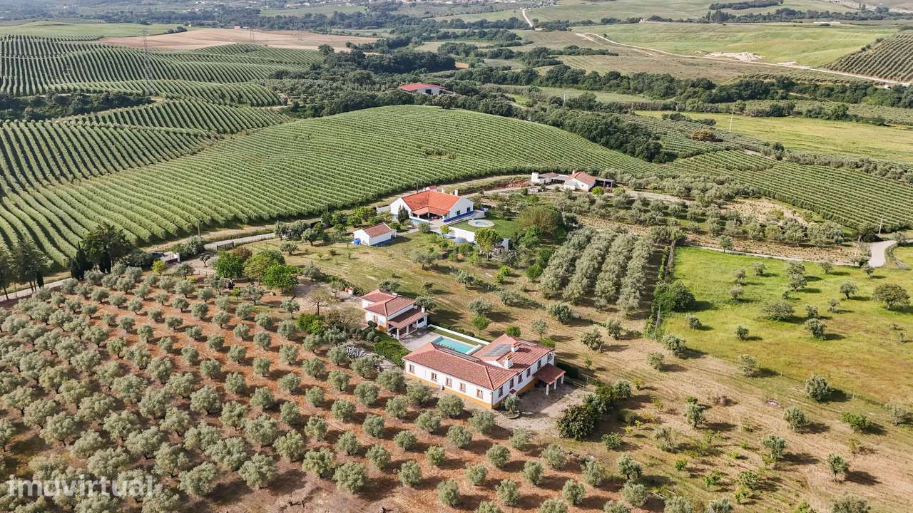 Quinta com piscina e vista sobre o Ribatejo, entre conforto e natureza - Grande imagem: 5/60
