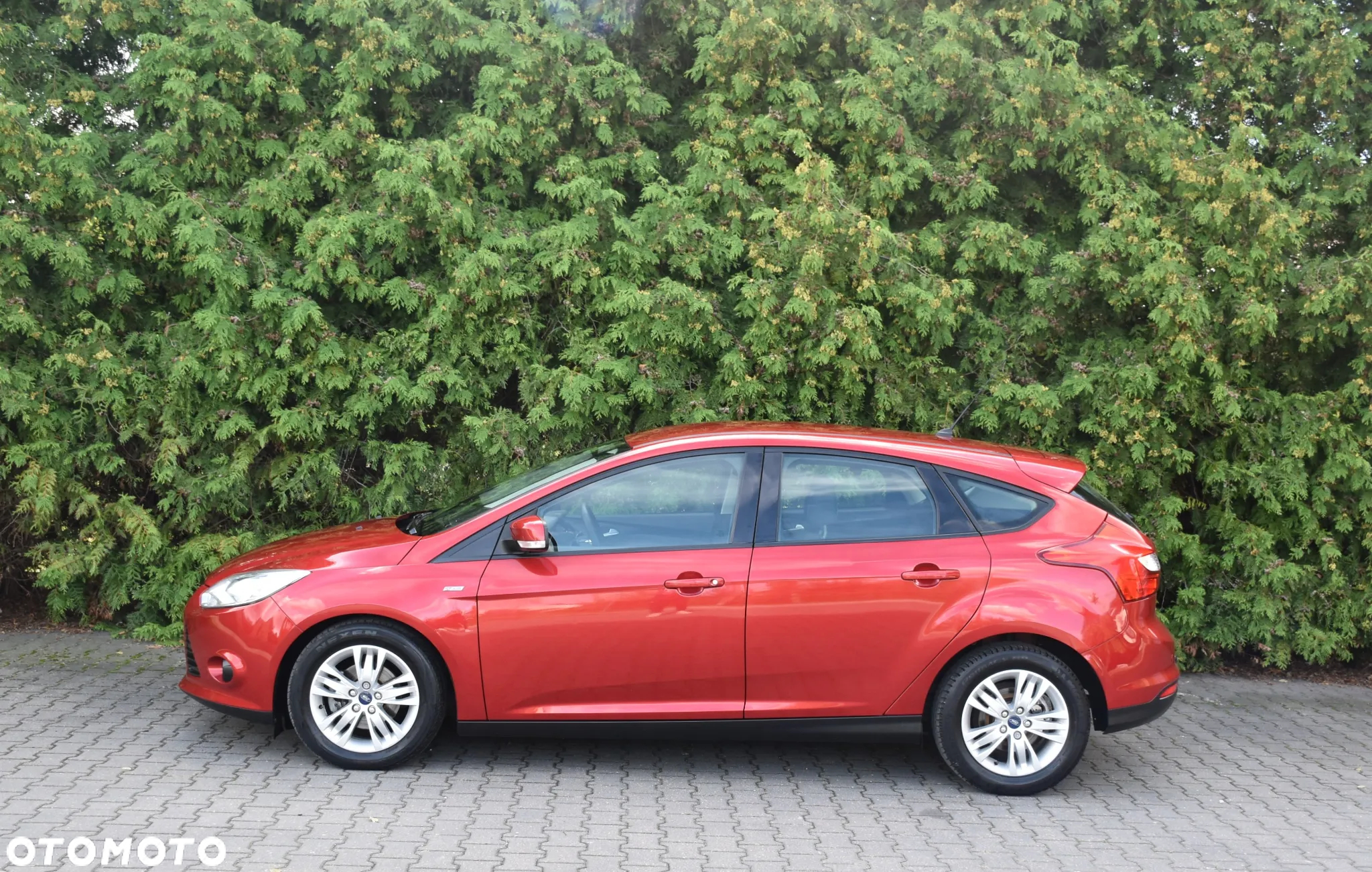 Ford Focus 1.6 TDCi DPF Start-Stopp-System Titanium - 5