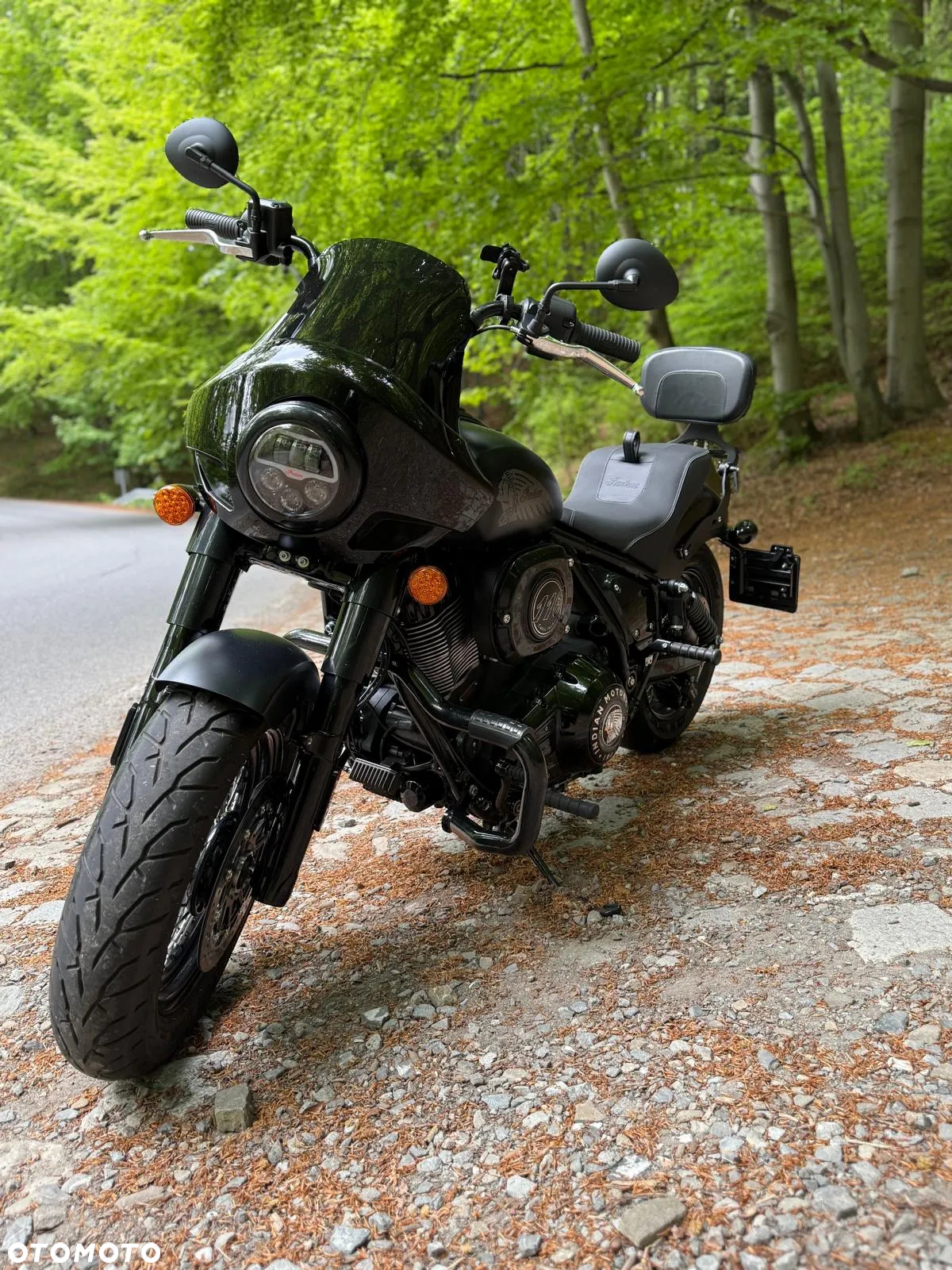 Indian Chief - 4