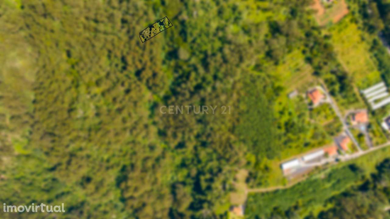 Terreno Rústico de 1150 m2 - Santa Cruz, Madeira - Grande imagem: 5/12