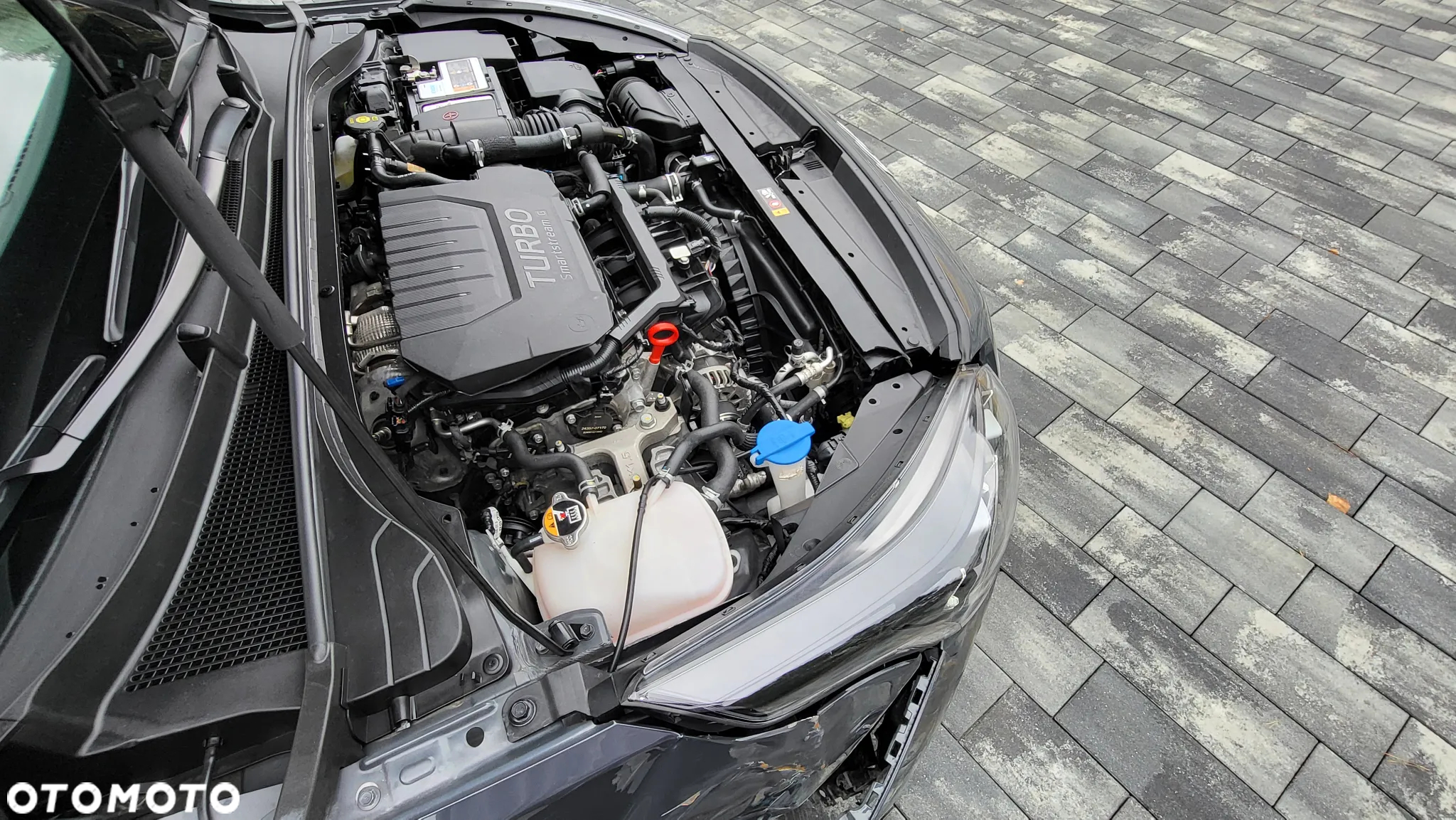 Kia ProCeed 1.5 T-GDI GT Line DCT - 19