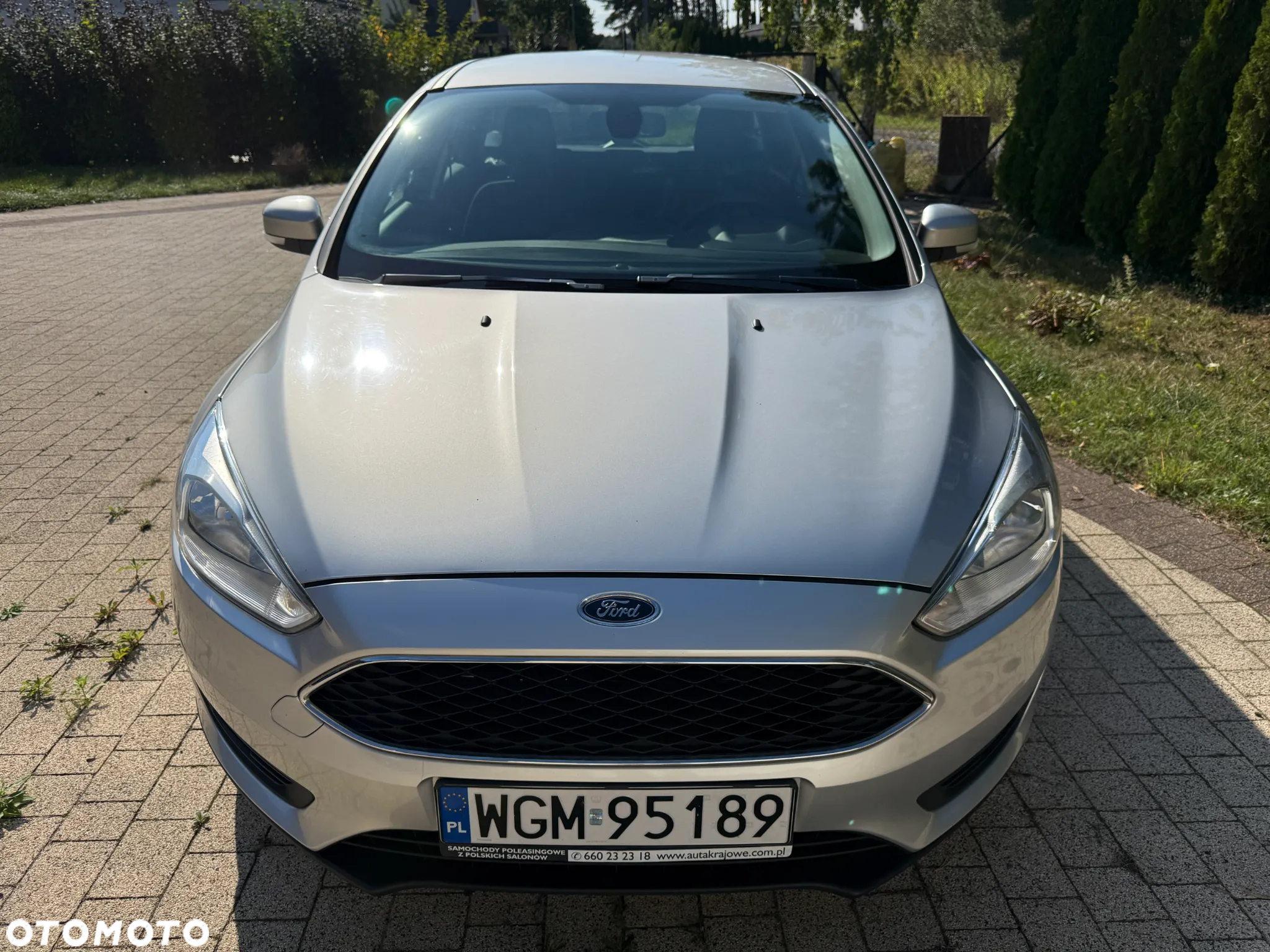 Ford Focus 1.6 Trend - 8
