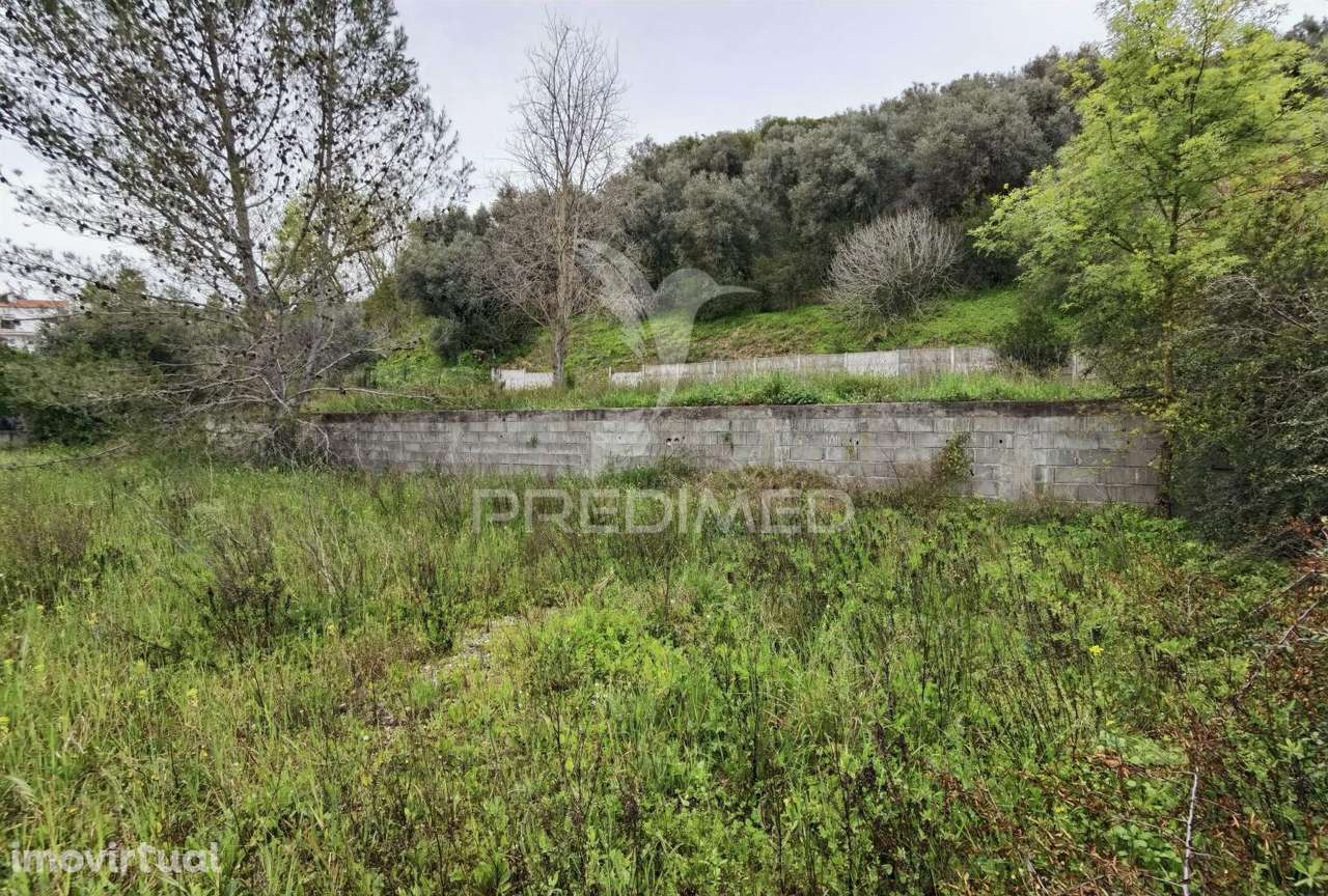 Terreno urbano, localizado em Torres Novas - Grande imagem: 5/17