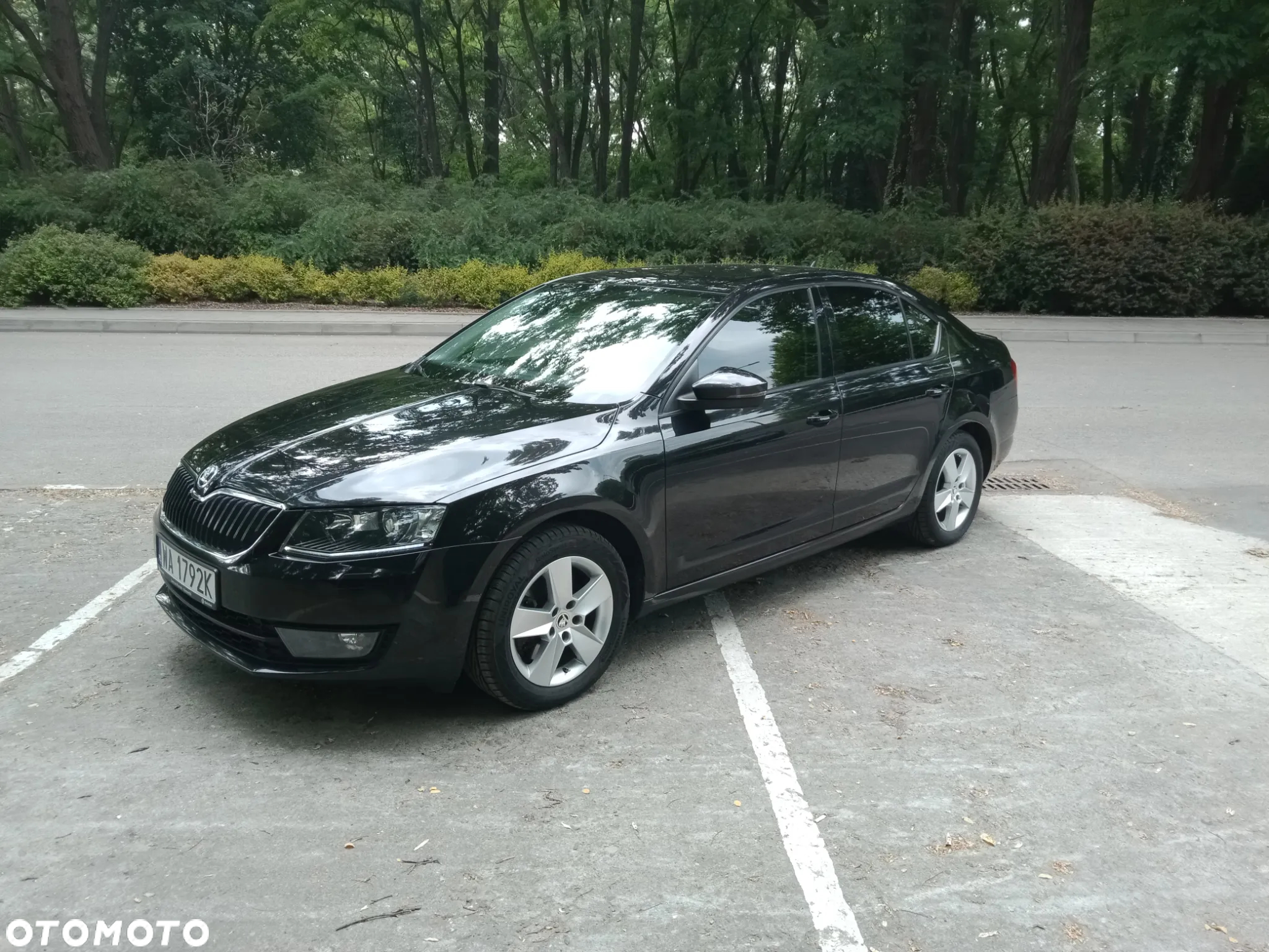 Skoda Octavia 1.8 TSI Ambition EU6 - 15
