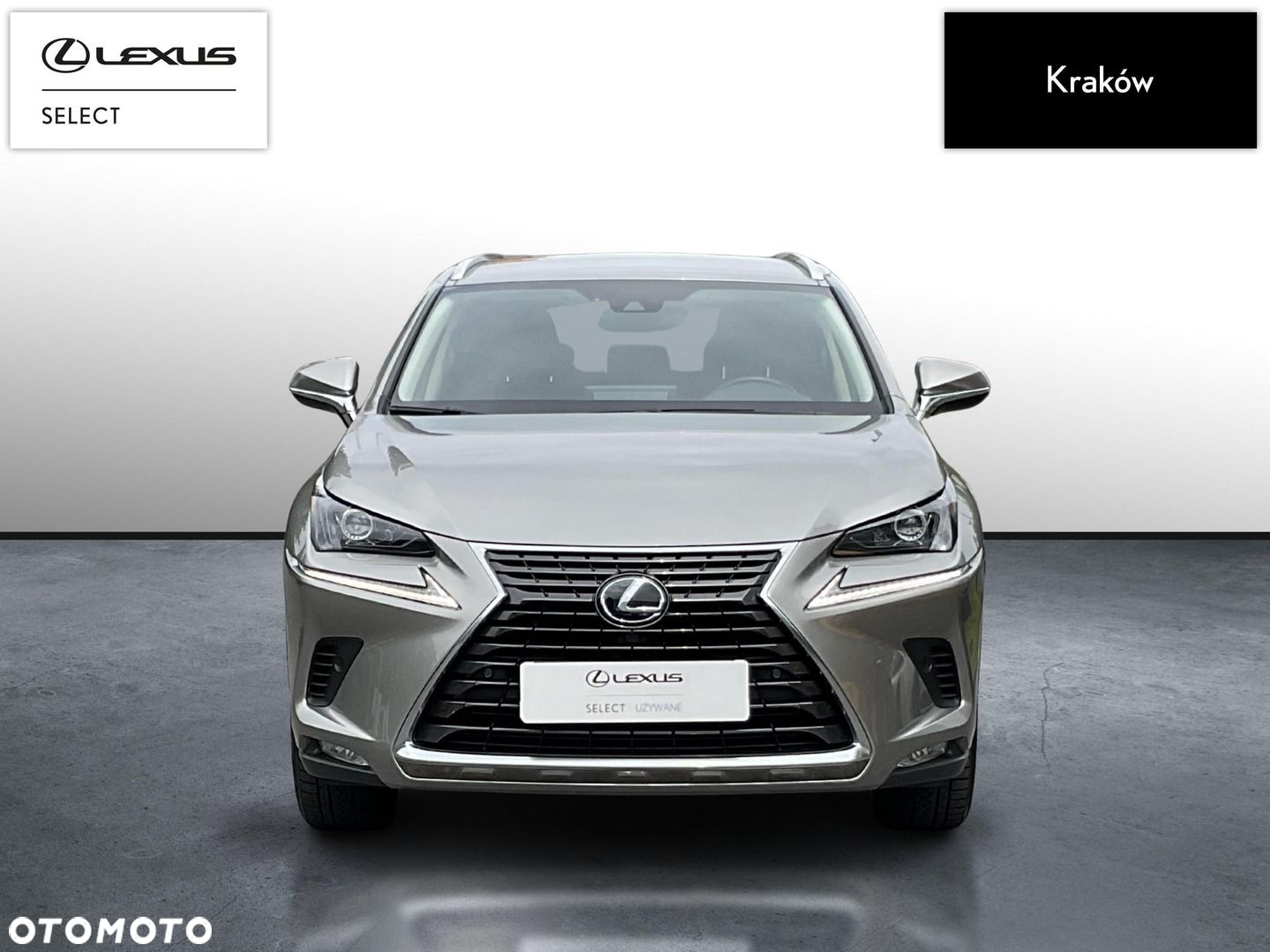 Lexus NX - 8