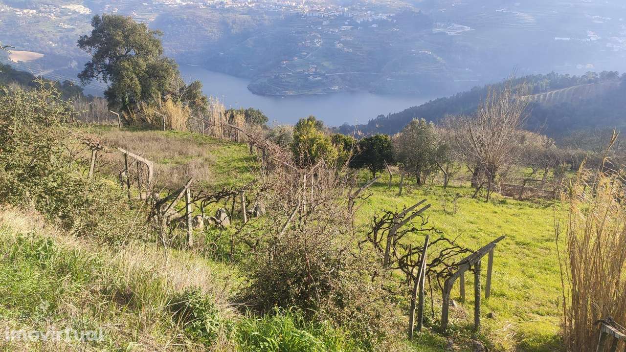 Terreno com casinha e vista para o rio Douro, em S. Tomé de Covelas, B - Grande imagem: 3/60