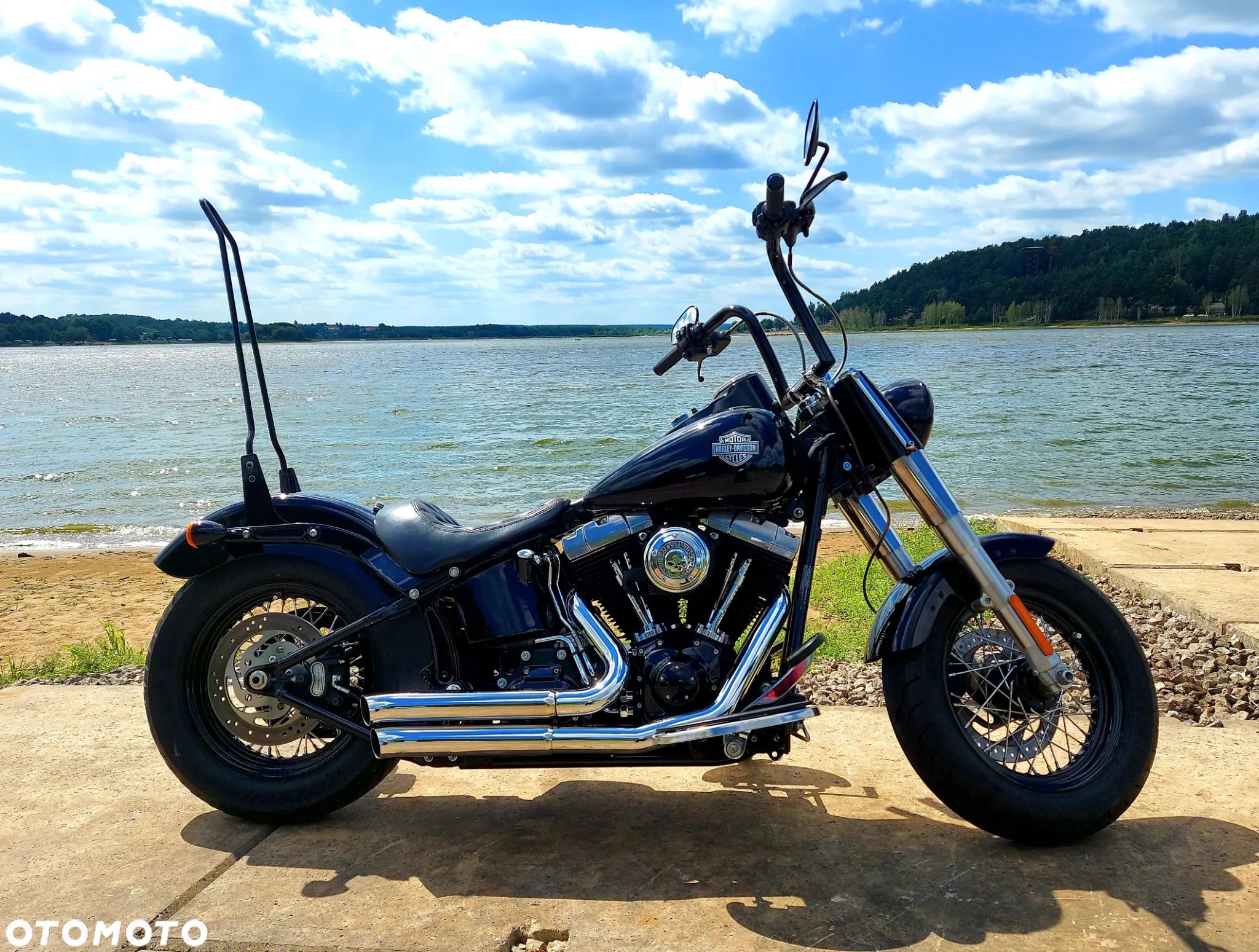 Harley-Davidson Softail Slim - 1