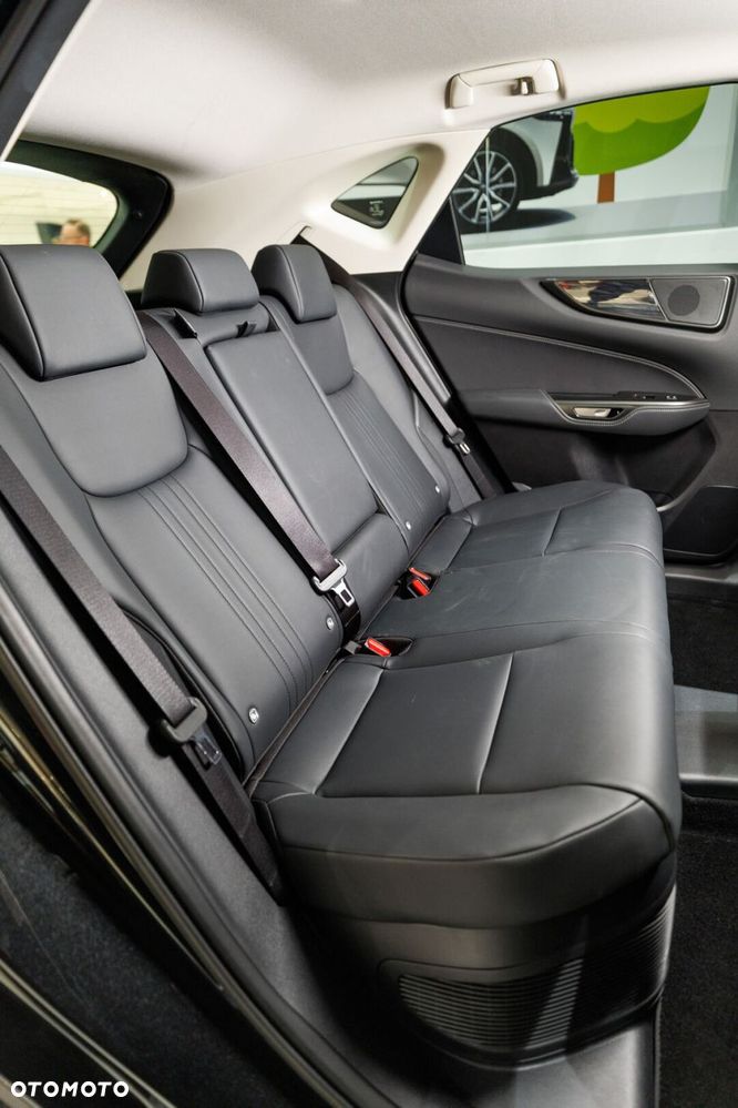 Lexus NX - 19
