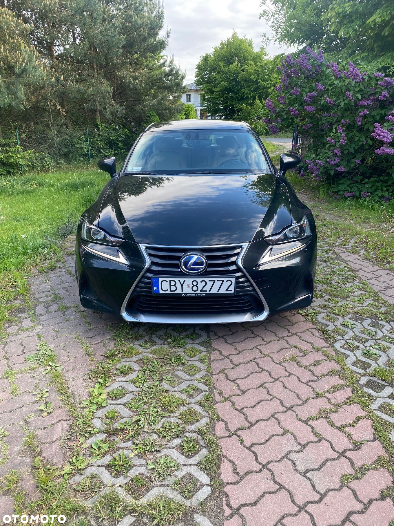 Lexus IS - 1