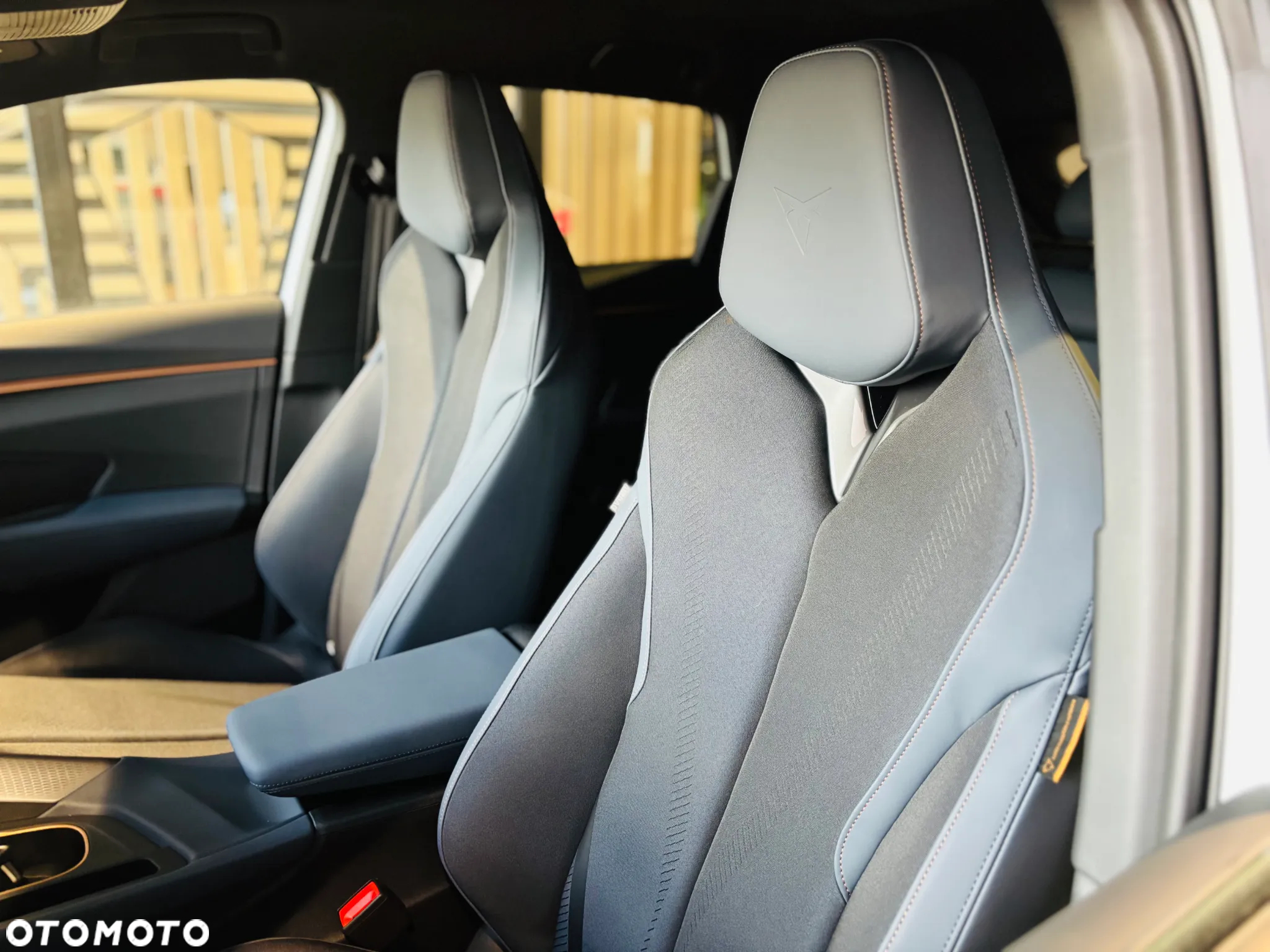 Cupra Terramar - 15