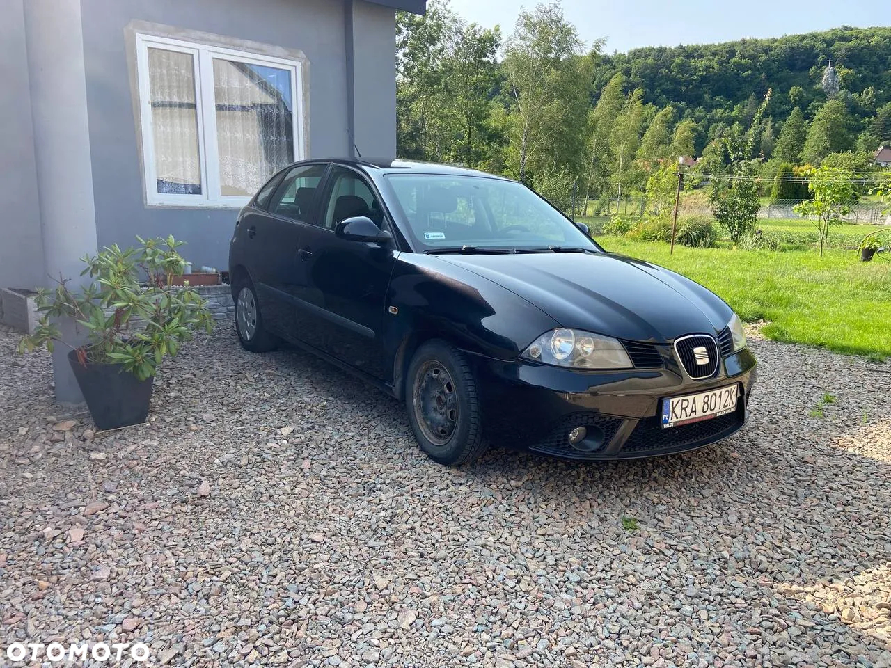 Seat Ibiza - 2