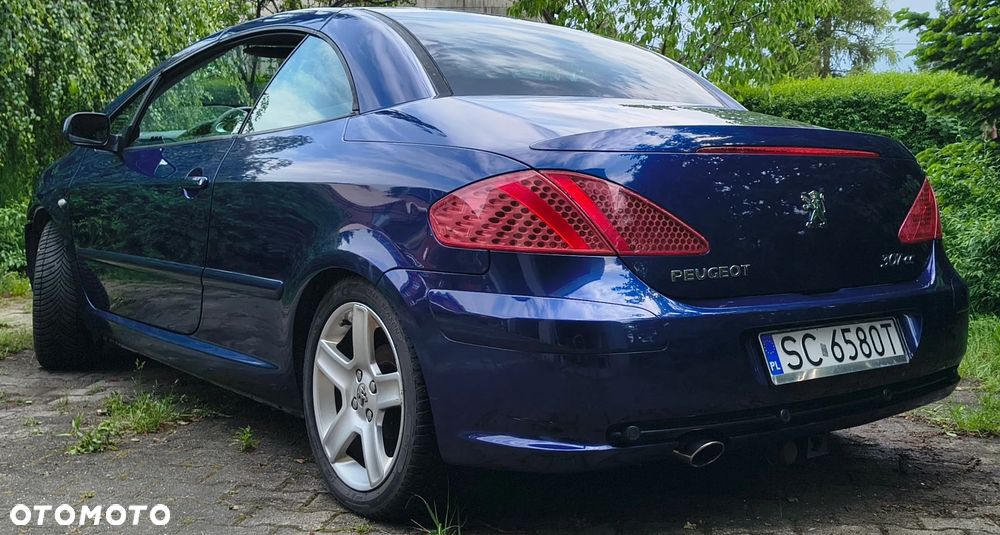 Peugeot 307 CC 2.0 - 11