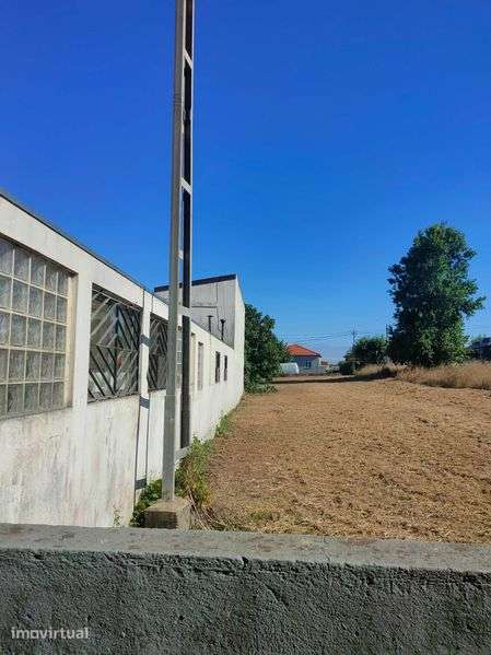 Terreno silvalde - Grande imagem: 4/4