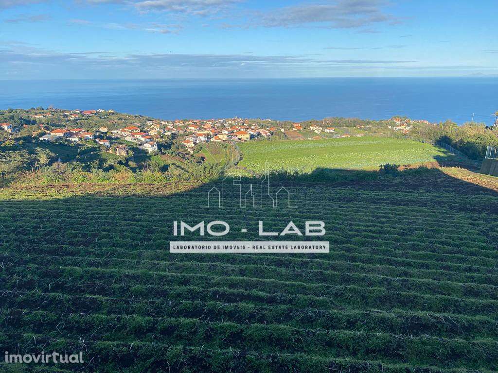 Armazém + 25.566m2 de Terreno Cultivado - São Jorge - Santana - Grande imagem: 2/16