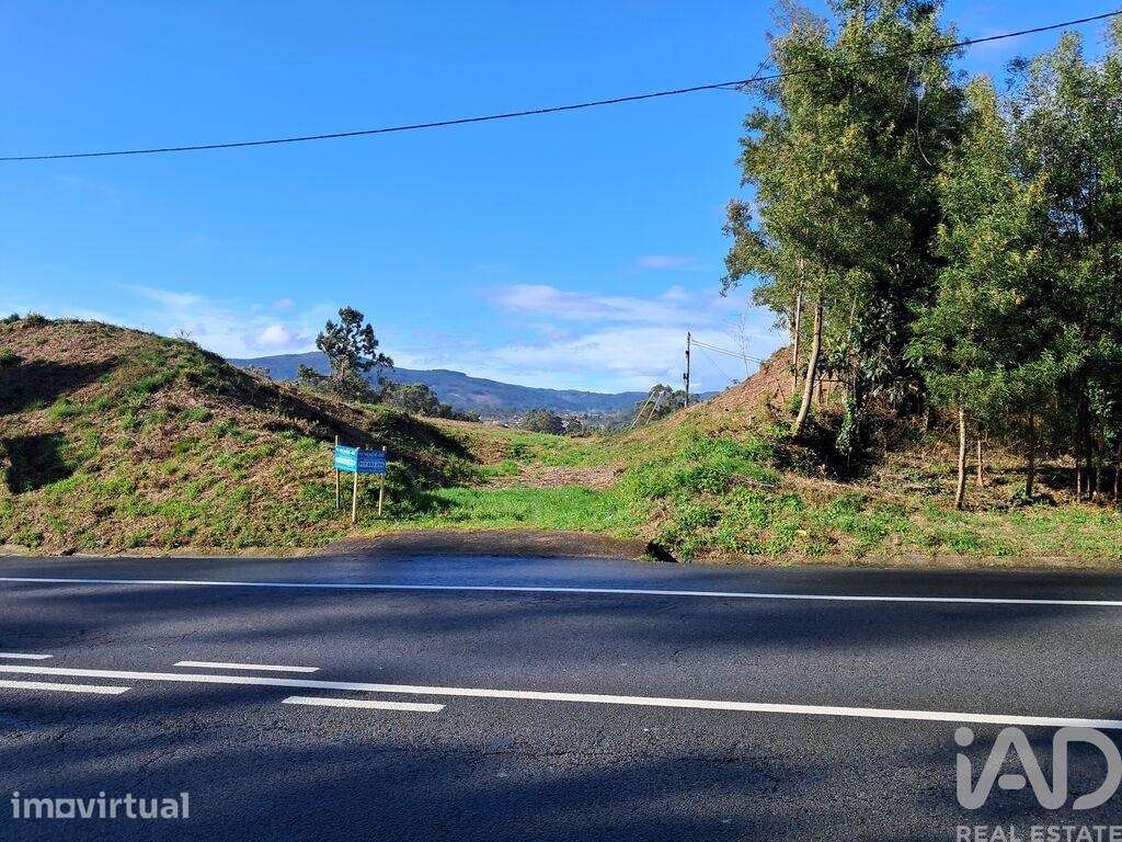 Terreno em Reboreda e Nogueira de 4514,00 m2
