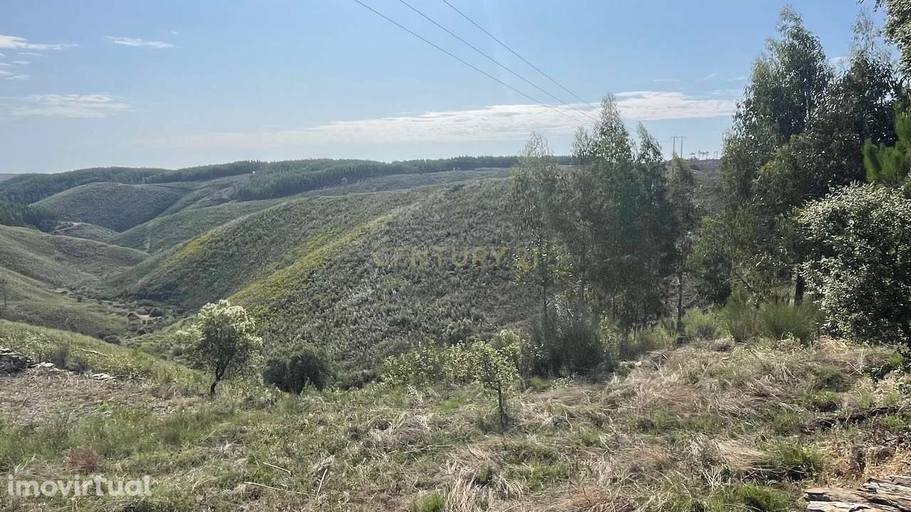 Terreno rústico, Cebolais de Cima, Castelo Branco - Grande imagem: 3/6