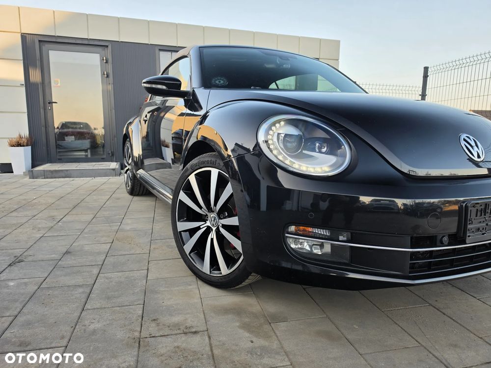 Volkswagen Beetle - 11
