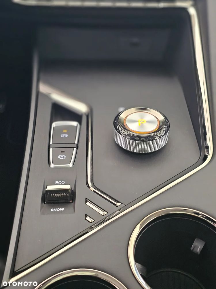 JAC JS8 PRO 7os - 25