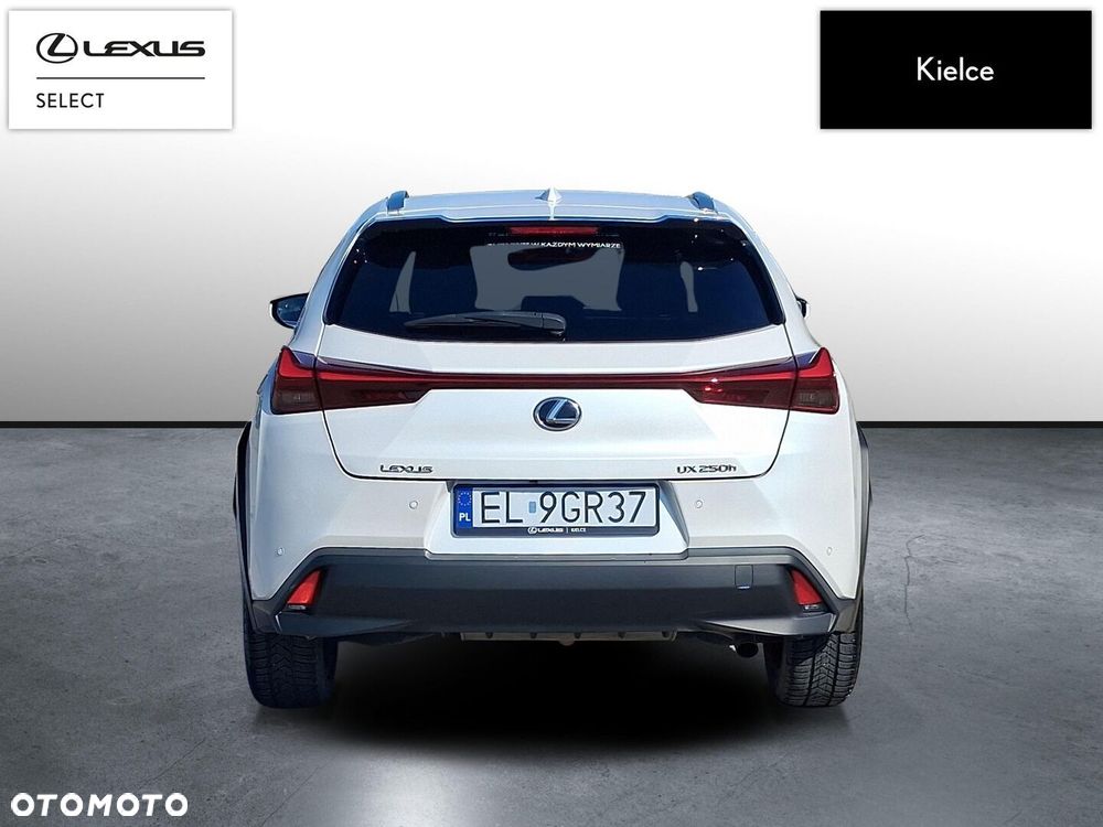 Lexus UX 250h GPF Business 2WD - 5