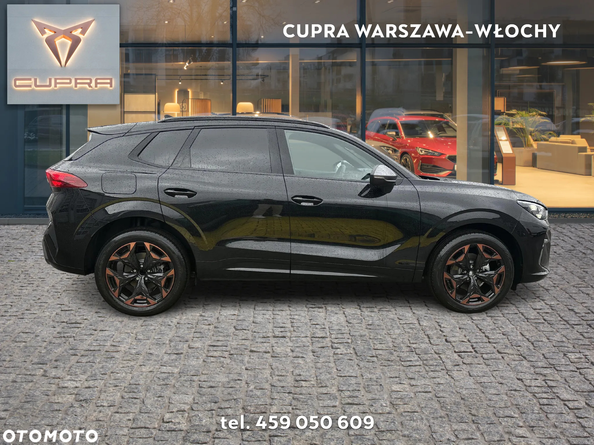 Cupra Terramar 2.0 TSI 4Drive DSG - 6
